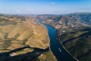 Régua: Wine Tasting at a Farm, Traditional Lunch, Cruise and Train