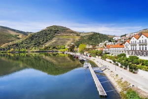 Régua: Wine Tasting at a Farm, Traditional Lunch, Cruise and Train