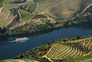 Régua: Wine Tasting at a Farm, Traditional Lunch, Cruise and Train