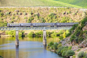 Régua: Wine Tasting at a Farm, Traditional Lunch, Cruise and Train