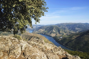 Régua: Wine Tasting at a Farm, Traditional Lunch, Cruise and Train