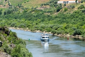 Régua : dégustation de vin dans une ferme, déjeuner traditionnel, croisière et train