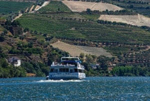 Régua : dégustation de vin dans une ferme, déjeuner traditionnel, croisière et train