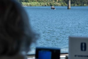 Régua : dégustation de vin dans une ferme, déjeuner traditionnel, croisière et train