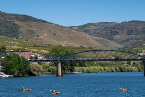 Régua : dégustation de vin dans une ferme, déjeuner traditionnel, croisière et train