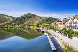 Régua : dégustation de vin dans une ferme, déjeuner traditionnel, croisière et train