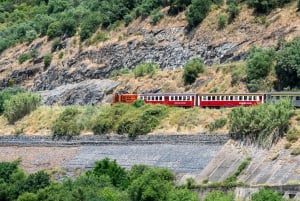 Régua : dégustation de vin dans une ferme, déjeuner traditionnel, croisière et train