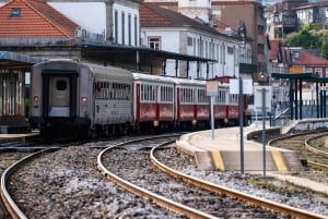 Régua : dégustation de vin dans une ferme, déjeuner traditionnel, croisière et train