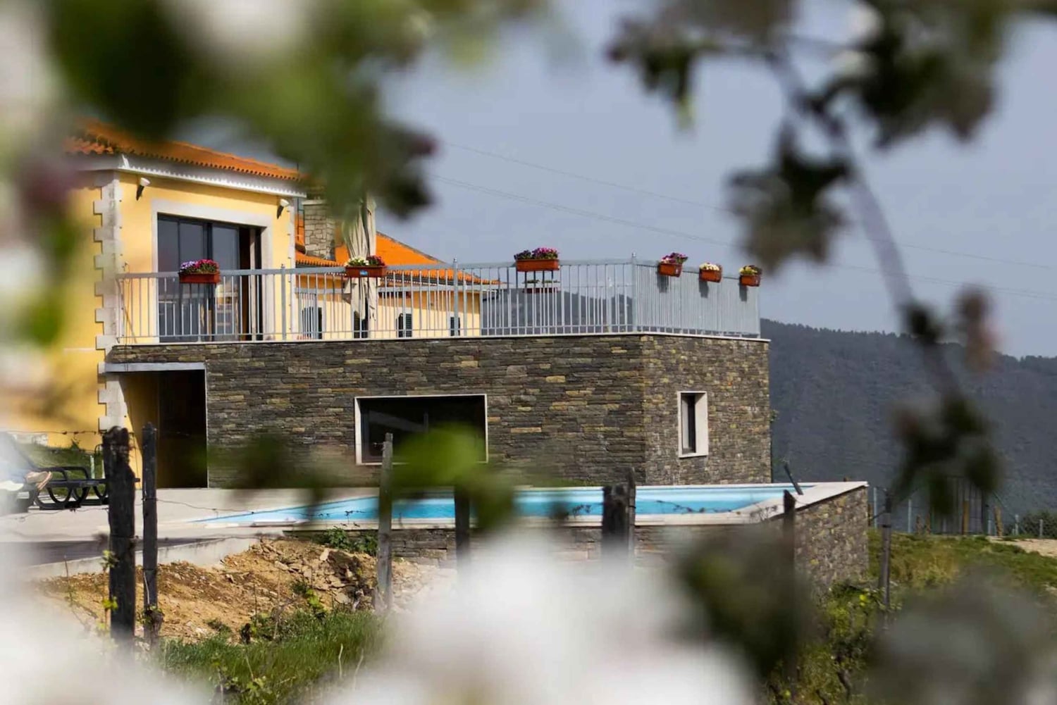 Régua: Vinprovning på en gård, traditionell lunch, kryssning och tåg