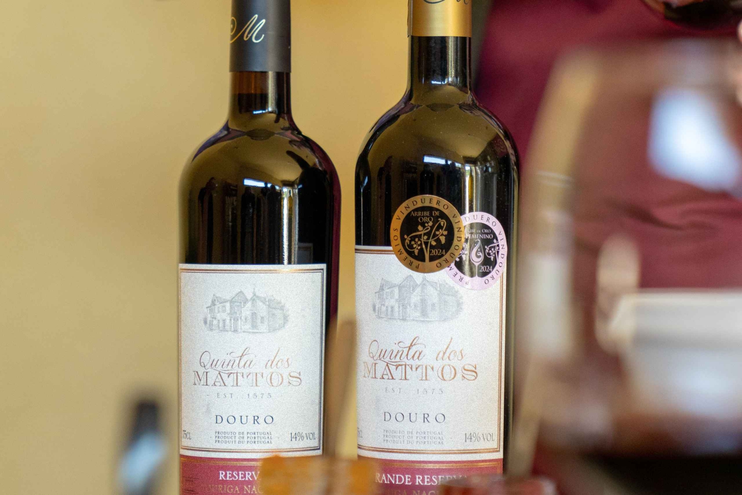 Régua: Vinprovning på en gård, traditionell lunch, kryssning och tåg