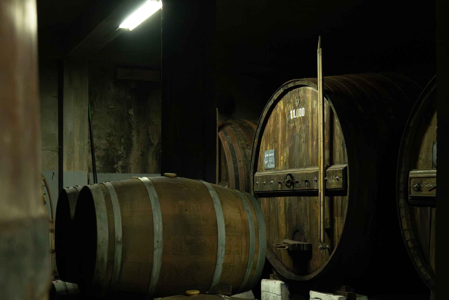 Régua: Vinprovning på en gård, traditionell lunch, kryssning och tåg