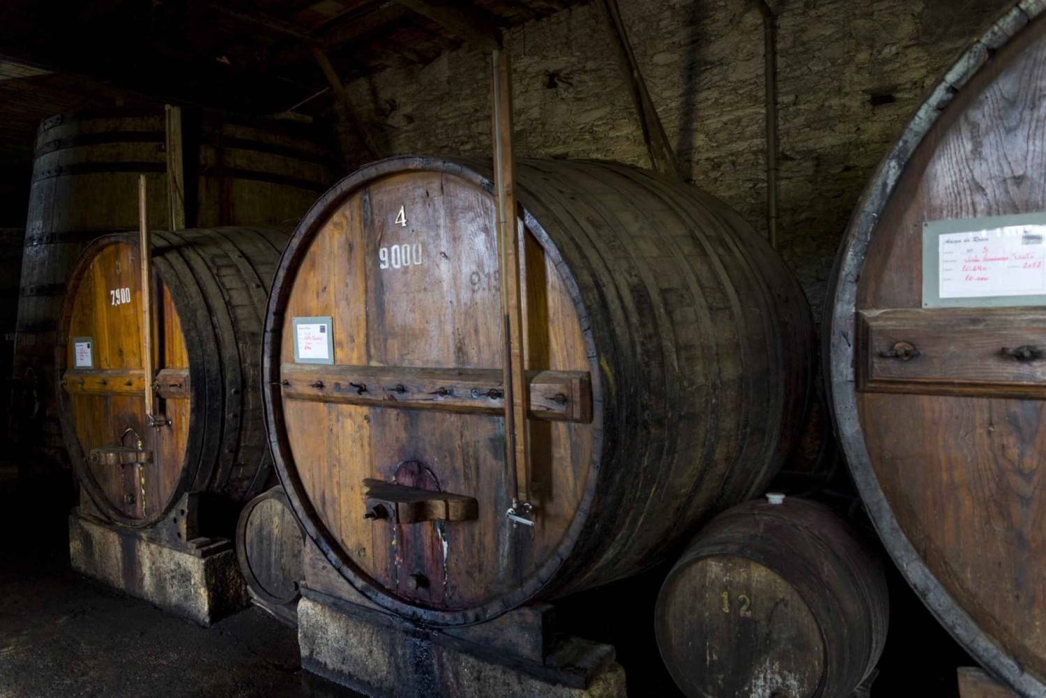 Régua: Vinprovning på en gård, traditionell lunch, kryssning och tåg