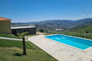 Régua: Vinprovning på en gård, traditionell lunch, kryssning och tåg