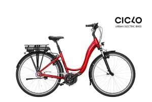 Rent an Electric Bike with Bosch motor