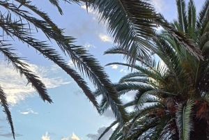 Romantic Tour on a Luxury Sailboat with Vintage Transfer 4H