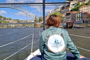 Porto: gedeelde dagtour, met drankjes en snacks