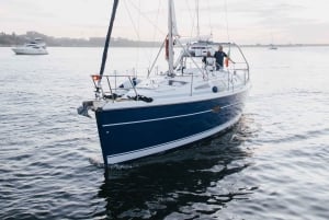 Porto: gedeelde dagtour, met drankjes en snacks