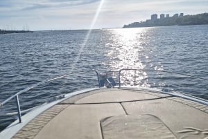 Частный круиз по 6 мостам Порту с возможностью наблюдения за закатом