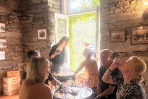 Kleine Gruppe: Weinverkostung im Douro-Tal von Porto aus