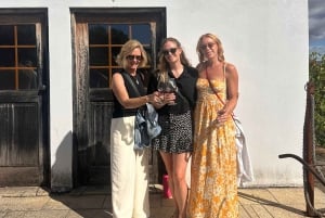 Kleine Gruppe: Weinverkostung im Douro-Tal von Porto aus