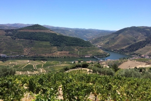 Pequeno grupo: Prova de Vinhos do Douro a partir do Porto
