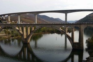 Pequeno grupo: Prova de Vinhos do Douro a partir do Porto
