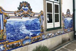 Pequeno grupo: Prova de Vinhos do Douro a partir do Porto