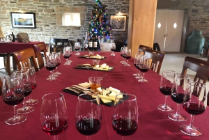 Pequeno grupo: Prova de Vinhos do Douro a partir do Porto