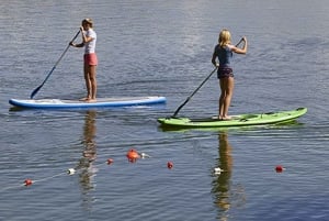 Porto: Bootsfahrt bei Sonnenuntergang oder tagsüber mit Begrüßungsgetränk