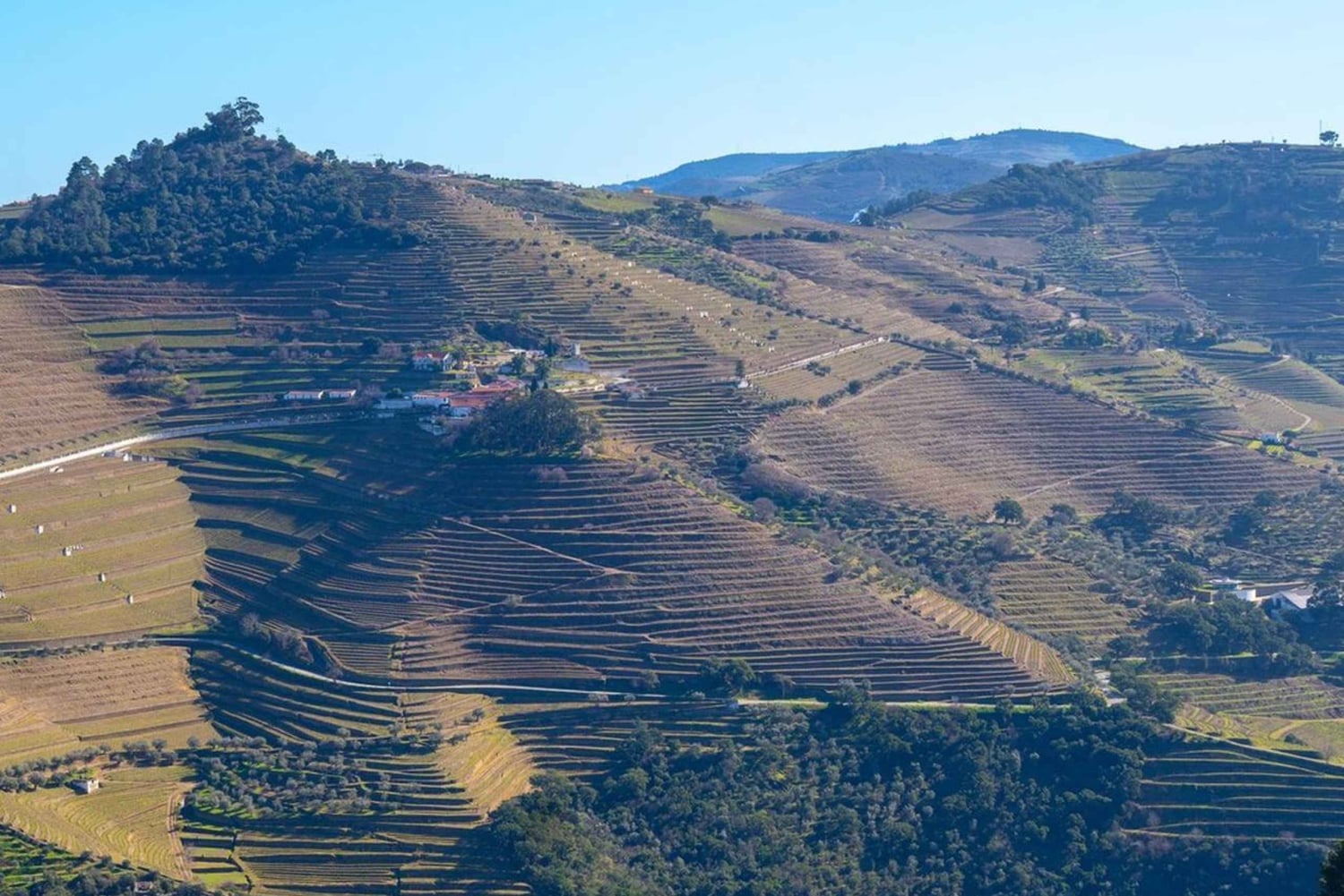 The Douro Valley Tour – Late Start Experience