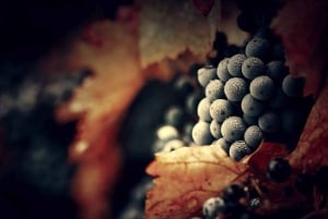 Wycieczka do doliny Douro – późny start