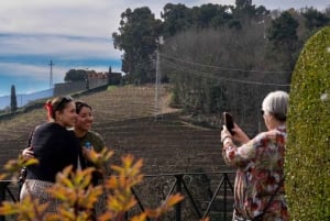 The Douro Valley Tour – Late Start Experience