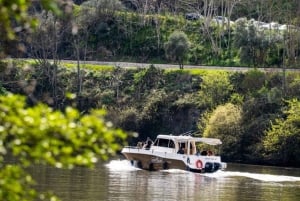 The Douro Valley Tour – Late Start Experience