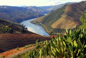 The Douro Valley Tour – Late Start Experience