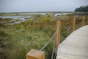 From Porto to Aveiro: Cruise, Aves, Salinas, Costa Nova, and Vista Alegre
