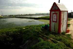From Porto to Aveiro: Cruise, Aves, Salinas, Costa Nova, and Vista Alegre