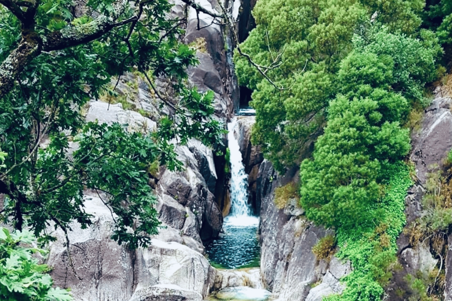 Wycieczka po Parku Narodowym Peneda-Gerês z lokalnym przewodnikiem
