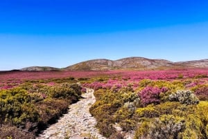 Tour durch den Parque Nacional Peneda-Gerês mit einem lokalen Führer