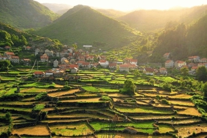 Wycieczka po Parku Narodowym Peneda-Gerês z lokalnym przewodnikiem