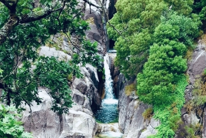 Wycieczka po Parku Narodowym Peneda-Gerês z lokalnym przewodnikiem