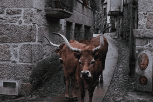 Wycieczka po Parku Narodowym Peneda-Gerês z lokalnym przewodnikiem