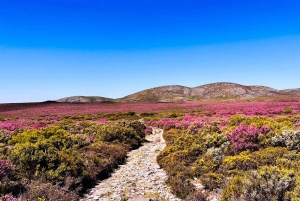 Wycieczka po Parku Narodowym Peneda-Gerês z lokalnym przewodnikiem