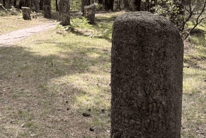 Wycieczka po Parku Narodowym Peneda-Gerês z lokalnym przewodnikiem