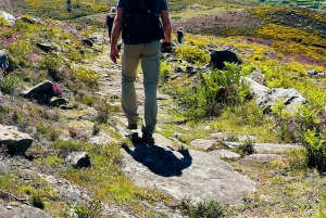 Wycieczka po Parku Narodowym Peneda-Gerês z lokalnym przewodnikiem