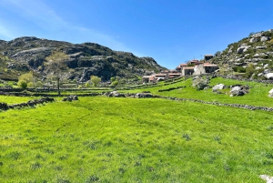 Wycieczka po Parku Narodowym Peneda-Gerês z lokalnym przewodnikiem