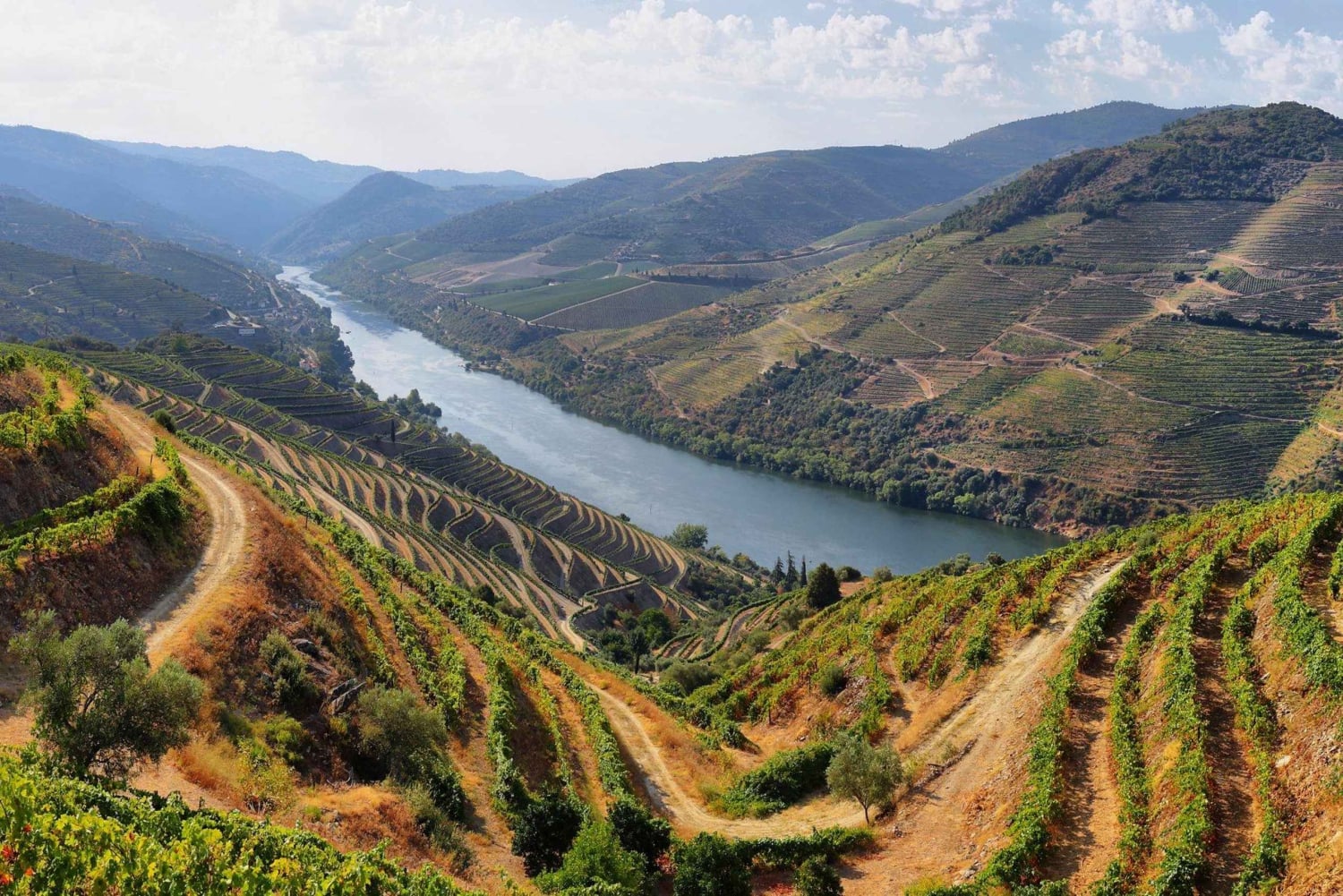 Visite de la vallée de Porto Douro | La richesse du vin | TOUT COMPRIS.
