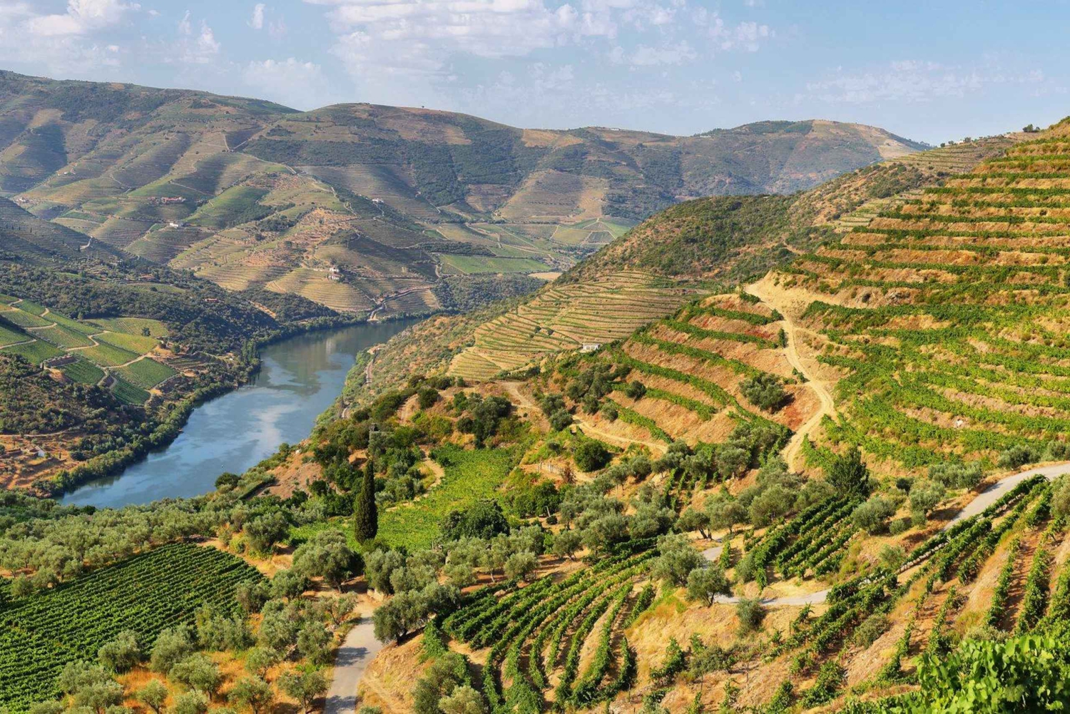 Visite de la vallée de Porto Douro | La richesse du vin | TOUT COMPRIS.