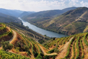 Visite de la vallée de Porto Douro | La richesse du vin | TOUT COMPRIS.
