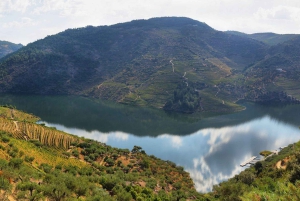 Visite de la vallée de Porto Douro | La richesse du vin | TOUT COMPRIS.