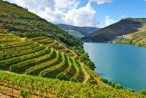 Visite de la vallée de Porto Douro | La richesse du vin | TOUT COMPRIS.